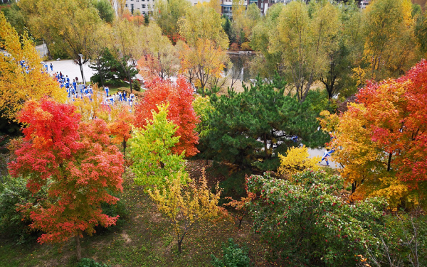 1602764006_005_60374.png