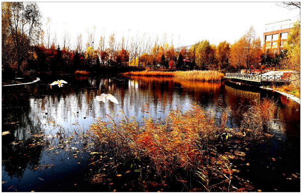 1602764109_4914_87717.png 图片 49.png