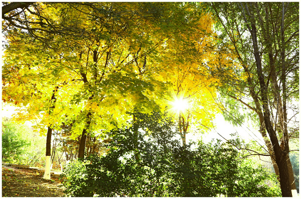1602764701_3408_67750.png 图片 61.png