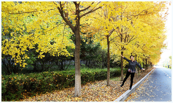 1602765107_9048_47080.png 图片83.png