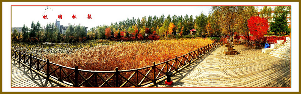 1602765268_0296_94667.png 图片 80.png