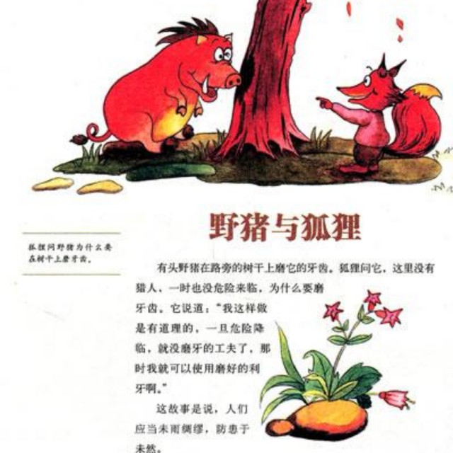 文章 查看文章 返回文章列表 野猪摇摇头说"我就是要趁现在多磨几下