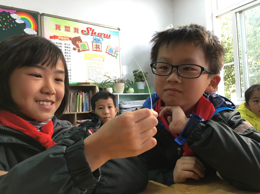 1576485467_0457_86044.png image