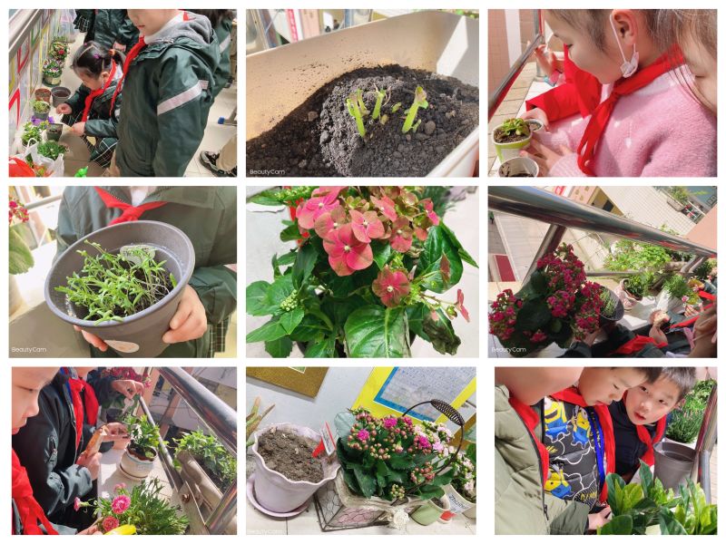 1617162255_0815_48547.jpg 16.种花.jpg