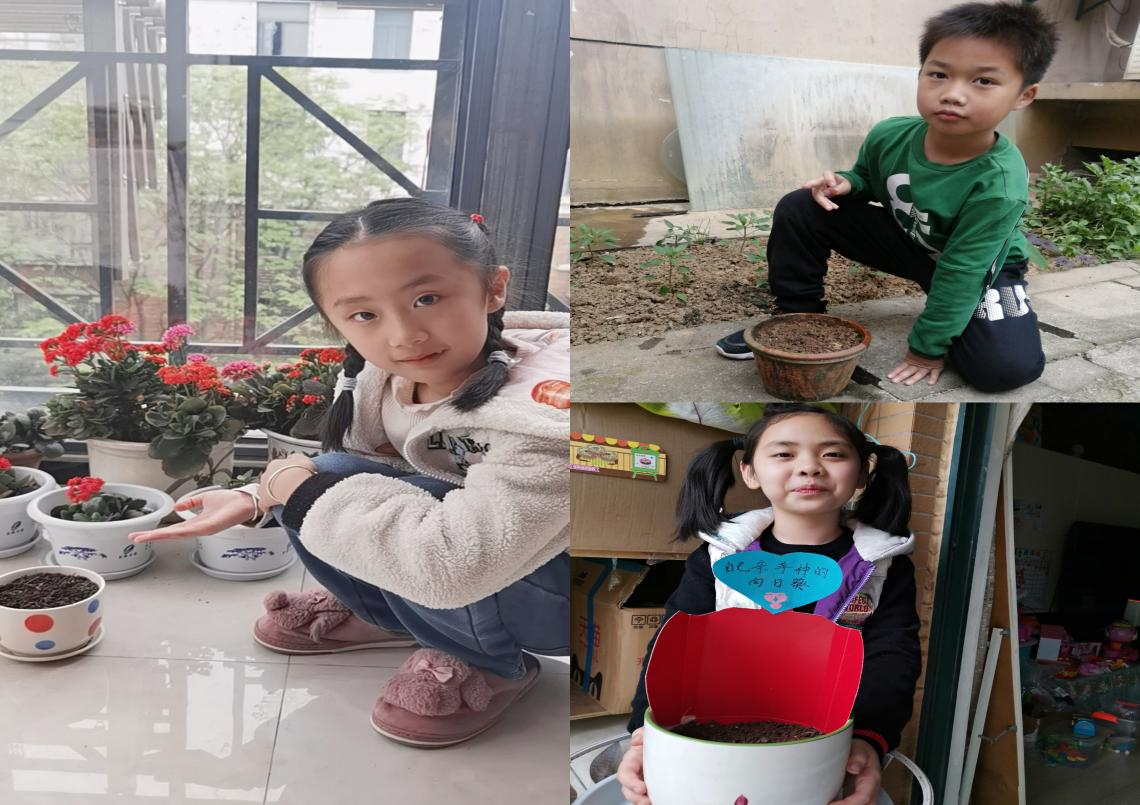 1619013027_3776_29748.png 图片6.png