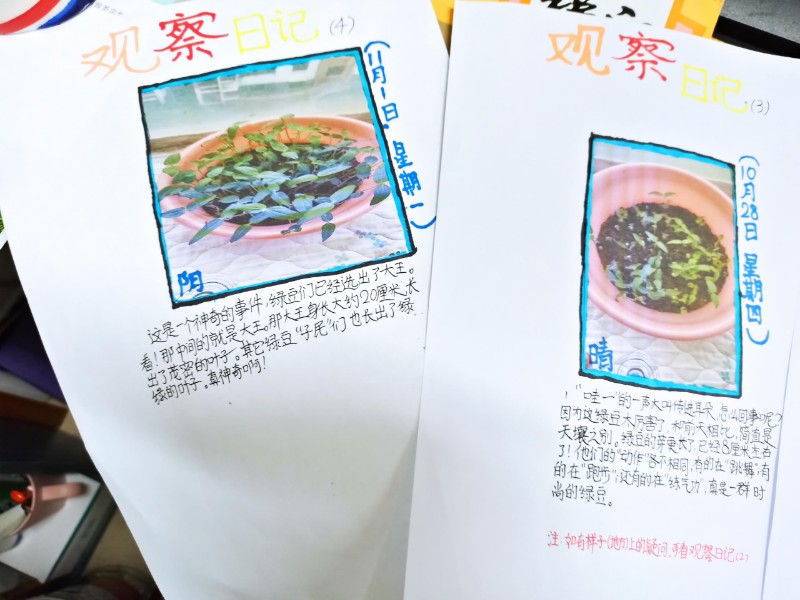 1637631364_1093_40702.jpg 图九.jpg