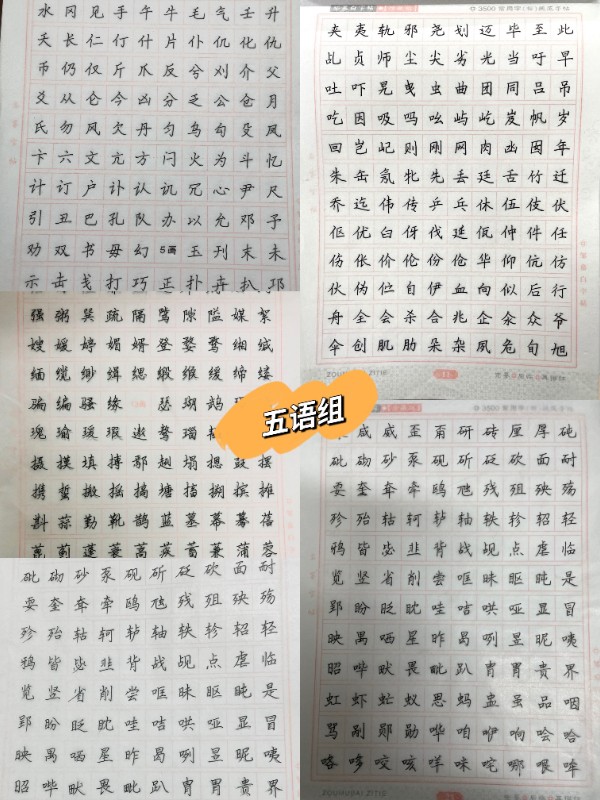 1645880776_7896_12840.jpg 五语组.jpg
