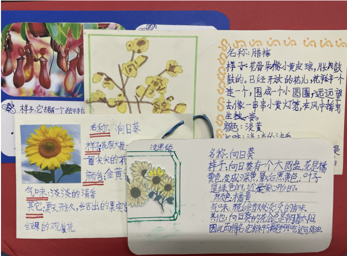 1651123378_367_98756.png image