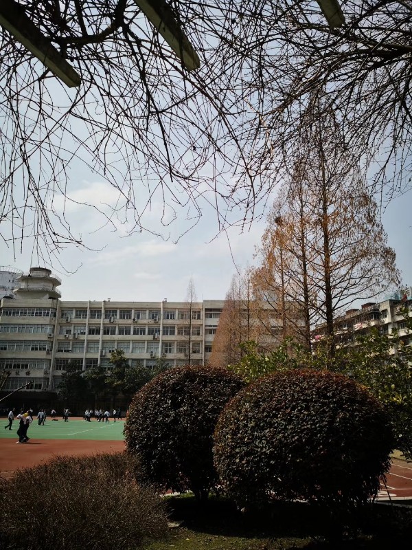 9.冬之风骨.jpg