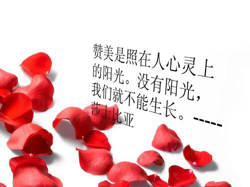 一句赞美,犹如久旱的甘露,滋润着萎黄的草木焦渴的心灵;一句赞美,犹如