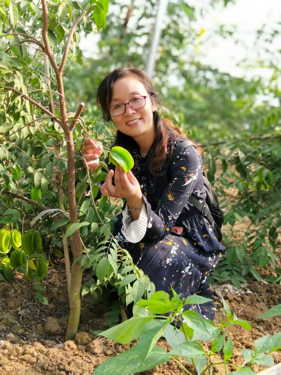 杨小英老师