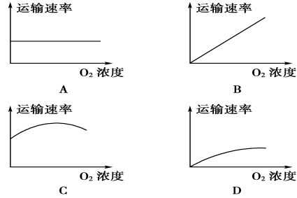 主动运输的曲线图图片