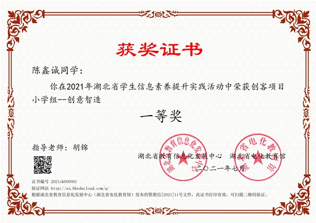 陈鑫诚省一等奖.jpg